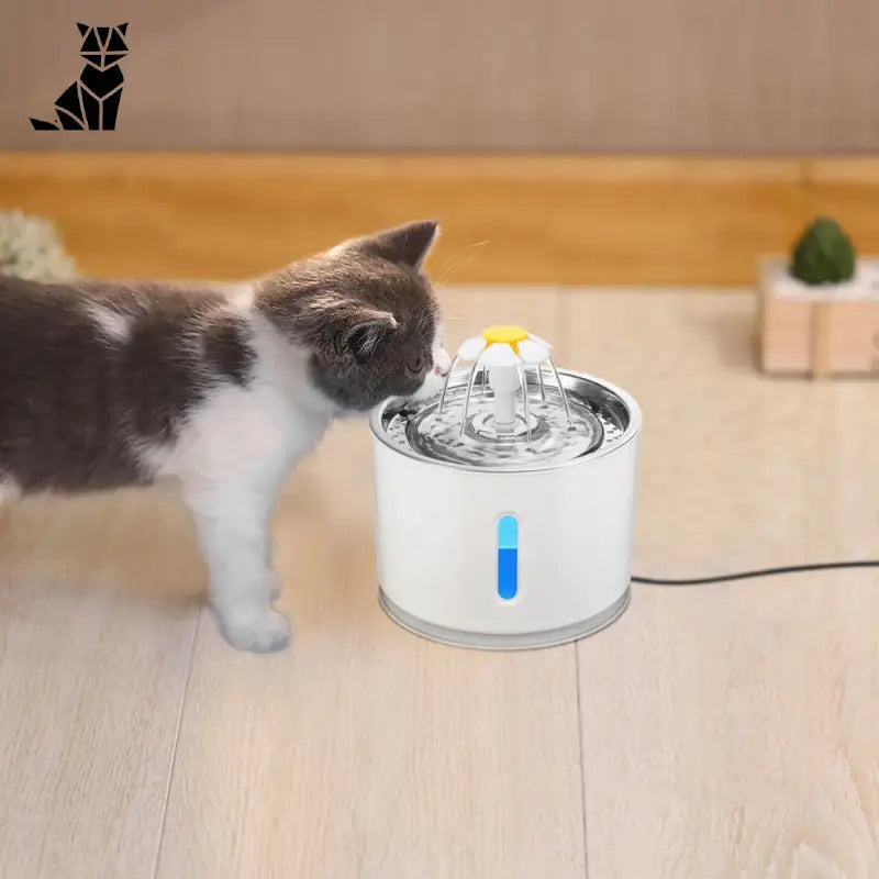 Chat s’abreuvant à la fontaine à eau Fontaine en Acier Inoxydable pour chats
